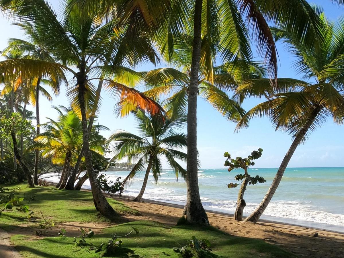 Hotel Bahia Punta Bonita Las Terrenas Εξωτερικό φωτογραφία